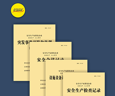 安全生產(chǎn)檢查記錄系列